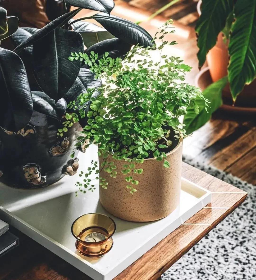 1600048446133389.jpg 微信圖片_20200914094229.jpg